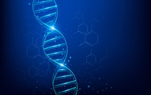 와이어 프레임 Dna 분자는 진한 파란색 배경에 점, 선 및 모양으로 구성된 낮은 폴리를 메쉬로 만듭니다. 과학 기술 개념