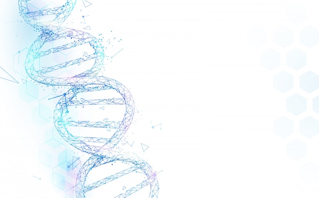 Vettore maglia della struttura delle molecole del dna del wireframe su fondo bianco. concetto di scienza e tecnologia