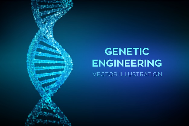 Sequenza di dna wireframe,