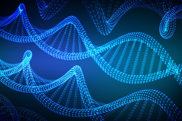 Wireframe DNA-sequentie,