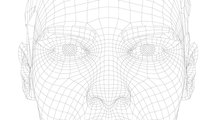 Vector wireframe portrait of a young girl.   3d rendering