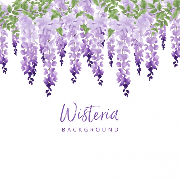 Wisteria aquarel achtergrond