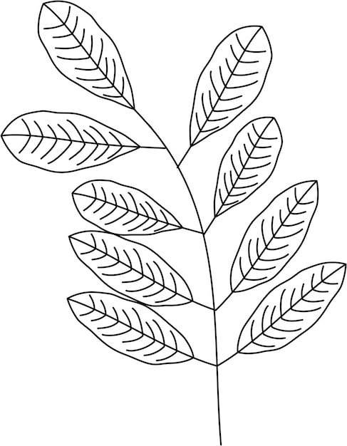 Vector wisteria leaf vector icon black and white