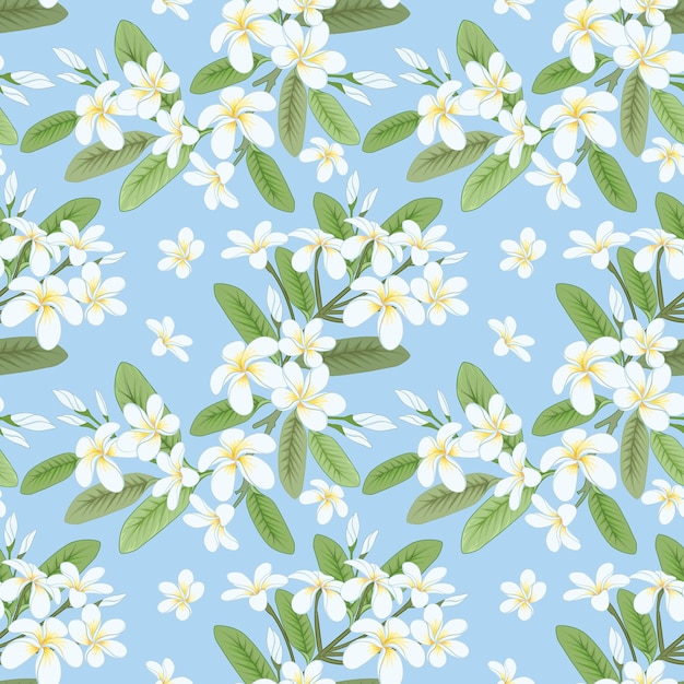 Vector wit gele plumeria bloemen met groen blad op blauwe kleur achtergrond naadloos patroon