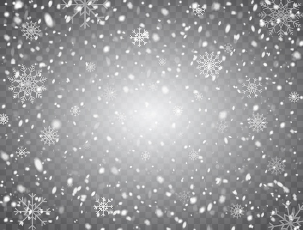 Vector wit glitter sneeuwvlokken vallen geïsoleerd