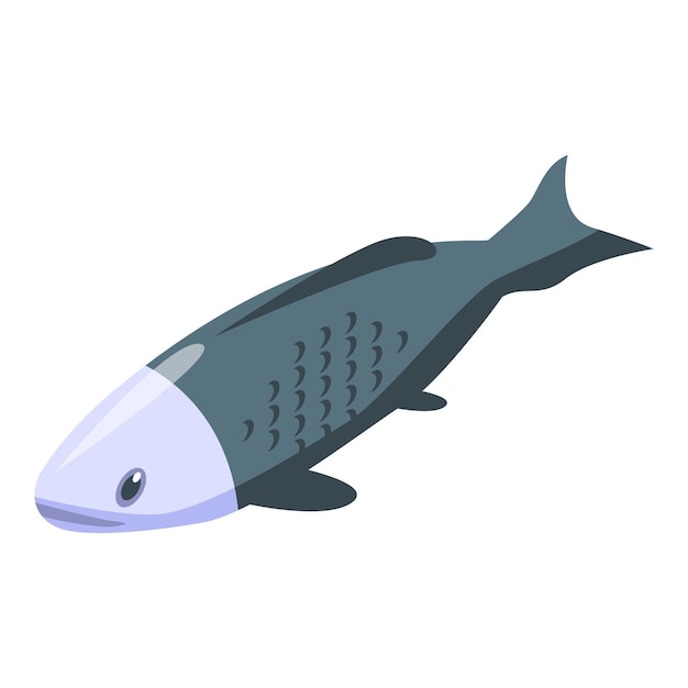 Wit zwart koi karper pictogram Isometrisch van wit zwart koi karper vector pictogram voor webdesign geïsoleerd op een witte achtergrond