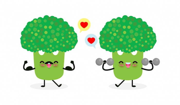 Vector with dumbbells and strong broccoli show muscle.eating healthy food and fitness, funny vegetable character sport concept isolated on white background vector