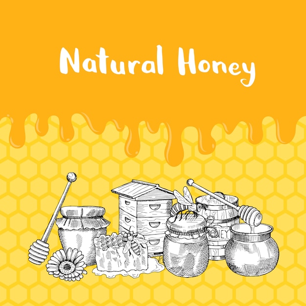 With sketched contoured honey theme elements, dripping honey and place for text on honeycombs