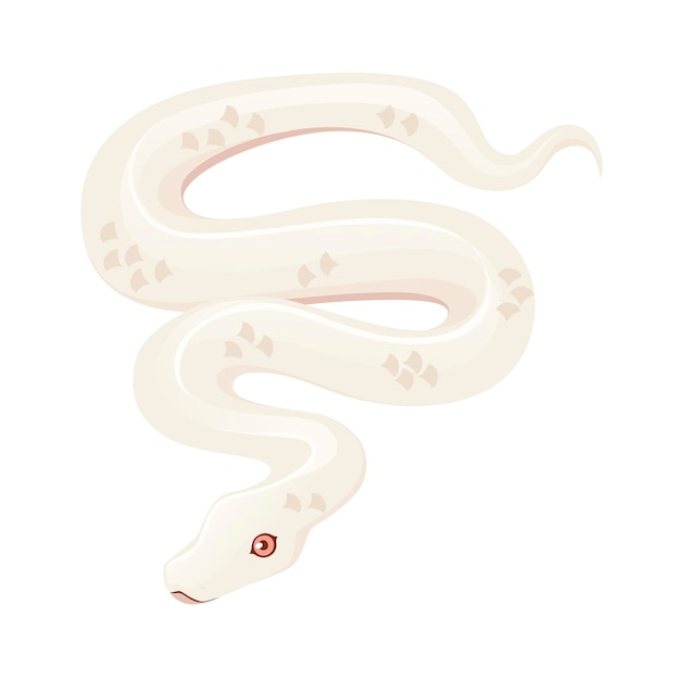 Vector witte albino slang cartoon dier ontwerp platte vectorillustratie geïsoleerd op een witte achtergrond.