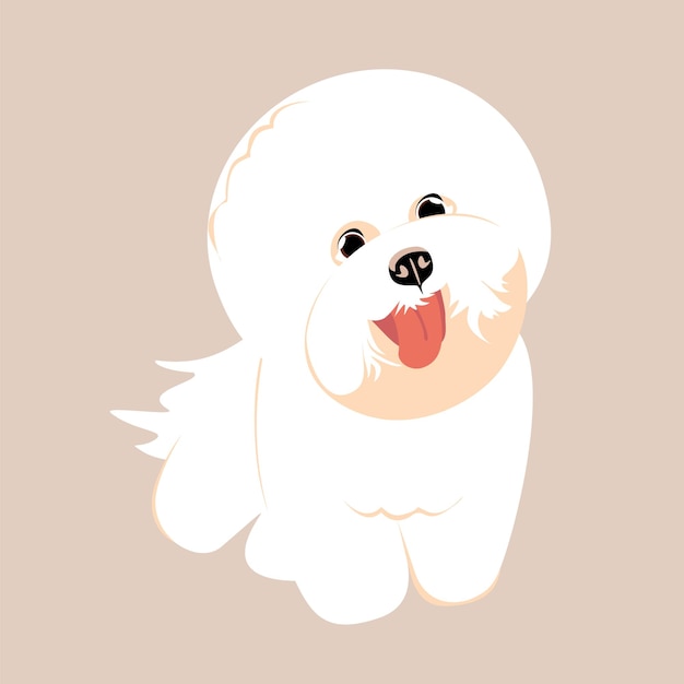 Witte bichon frise, schattige hond geïsoleerd op een achtergrond met kleur. Trendy handgetekende vectorillustratie.