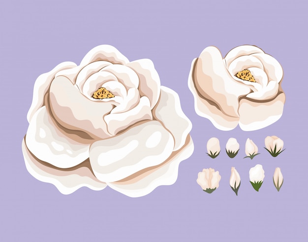 Witte bloem schilderij ontwerp, natuurlijke bloemen natuur plant ornament tuindecoratie en plantkunde thema illustratie