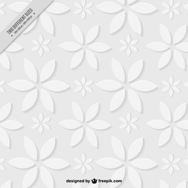 Vector witte bloemen achtergrond