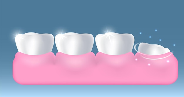 Witte gezonde tanden en opgroeien nieuwe tand vector illustratie tandheelkunde tandheelkundige gezondheid mondhygiëne...