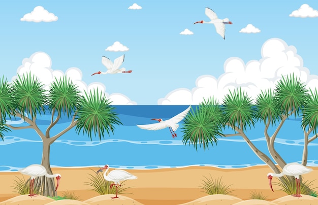 Witte ibis-groep op het strand
