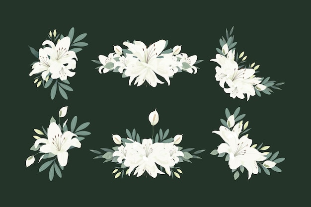Vector witte lelie bloem illustratieset