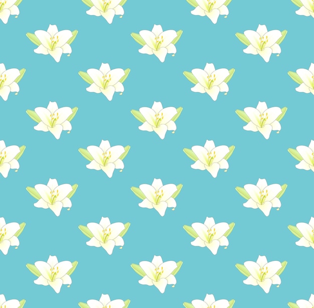 Witte leliebloem op pastelkleur blauwe achtergrond