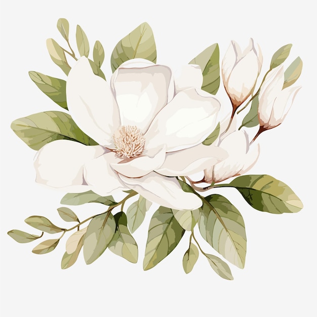 Witte Magnolia's Bloemen illustratie