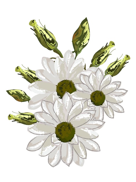 Witte margriet aquarel bloem boeket bruiloft kaart geïsoleerde vector illustraties