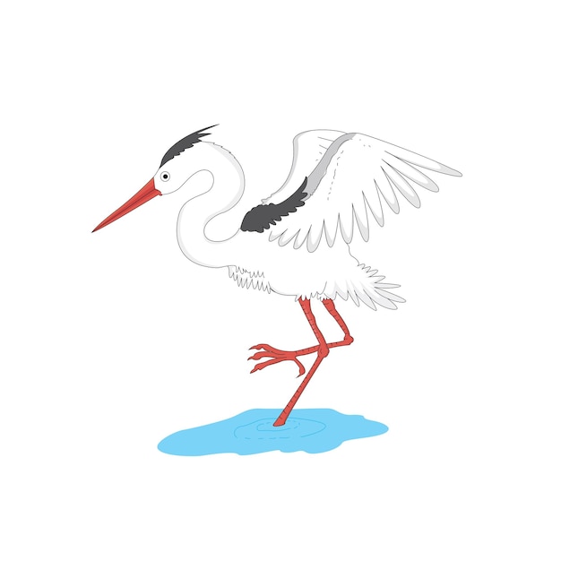 witte ooievaar in water vector illustratie