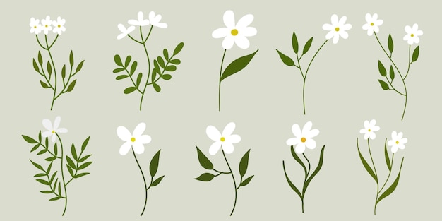 Witte verse bloemencollectie