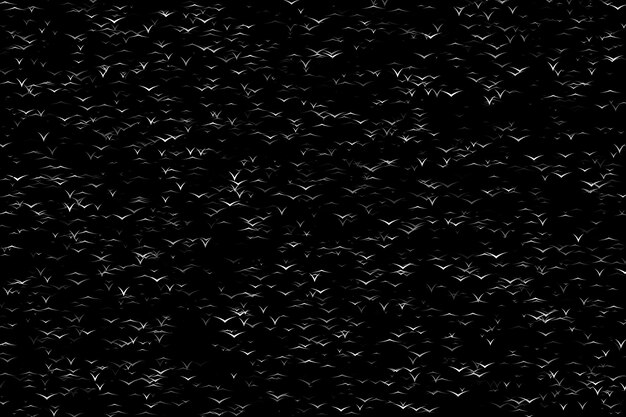 Witte vliegende vogels abstracte achtergrond behang