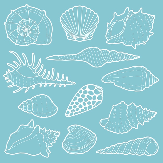 Witte zeeschelpen vector icon set geïsoleerd op background