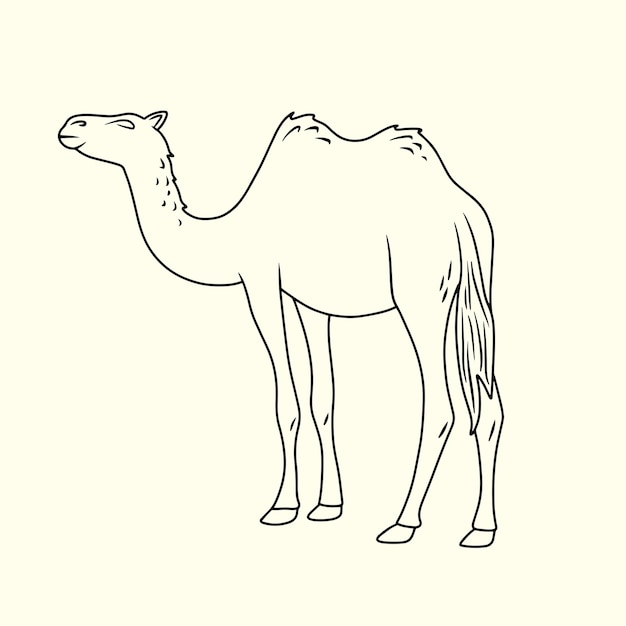 Woestijnkamel met twee bultjes Dunne lijn illustratie