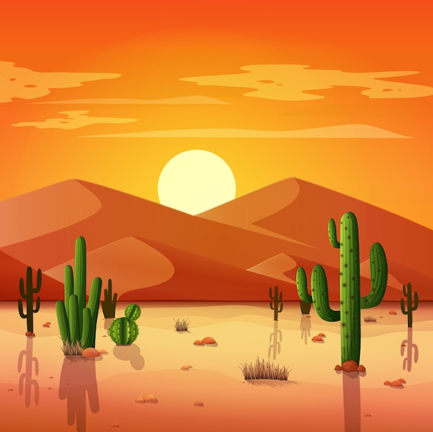 Woestijnlandschap met cactussen op de zonsondergangachtergrond