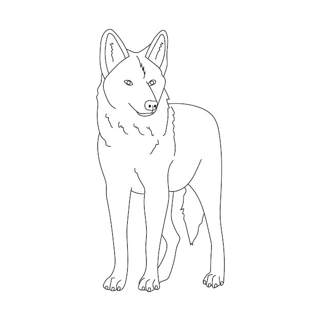 Wolf Clipart мультфильм Дикие животные Clipart набор для любителей дикой природы