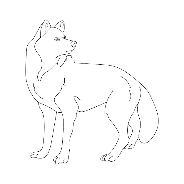 Wolf Clipart мультфильм Дикие животные Clipart набор для любителей дикой природы