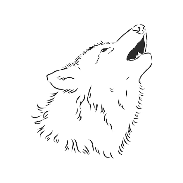 Wolf head vector wolf howls wolf head vector sketch illustration