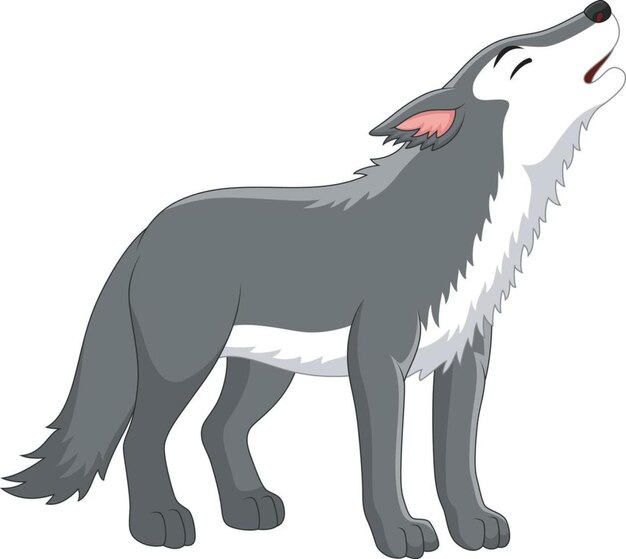 Vector wolf howling on white background