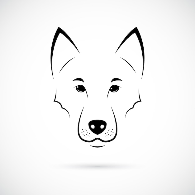 Wolf muzzle on white background