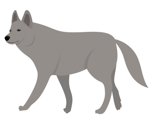 Vector wolf plat ontwerp geïsoleerd op een witte achtergrond vector