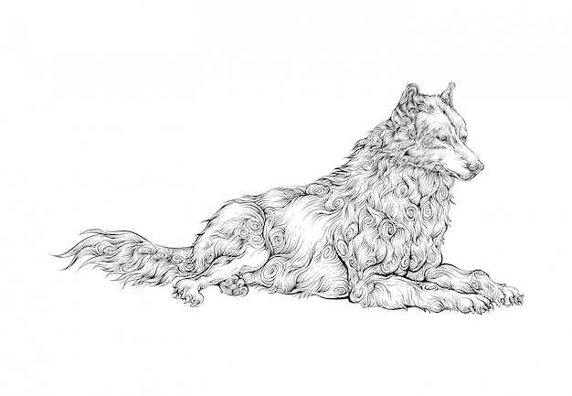 wolf take a rest hand drawing