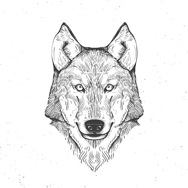 Vector wolfshoofd op wit, hand getrokken uitstekende illustratie