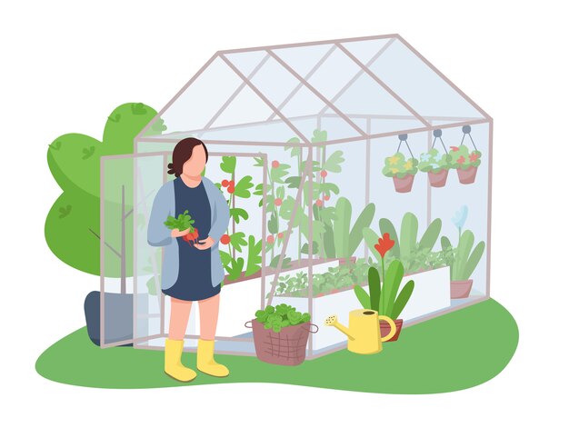 Фон для презентации проекта теплицы страница 2 Greenhouse Nursery: векторные изображения и иллюстрации, которые можн