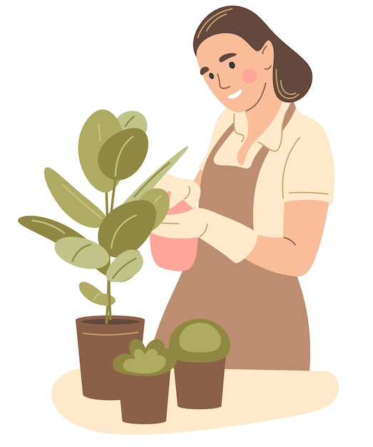 A woman cleans the leaves of a houseplant