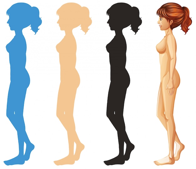 Vector woman and different color silhouette