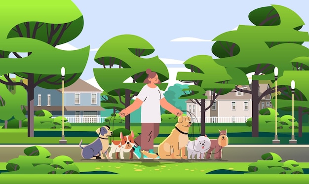 ベクトル 女性の犬の調教師は公園でペットと一緒に散歩します親友家畜ウォーキングサービスボランティアペットケアのコンセプト