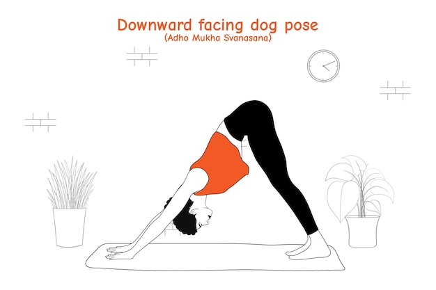 Donna che fa yoga asana cane con la testa in giù posa o adho mukha svanasana in stile piatto disegnato a mano