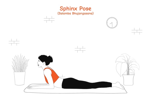 Vector woman doing yoga asana sphinx pose or salamba bhujangasana