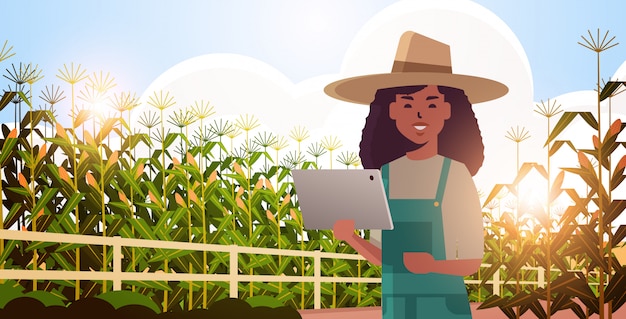 woman farmer with tablet monitoring corn field condition countrywoman controlling agricultural products