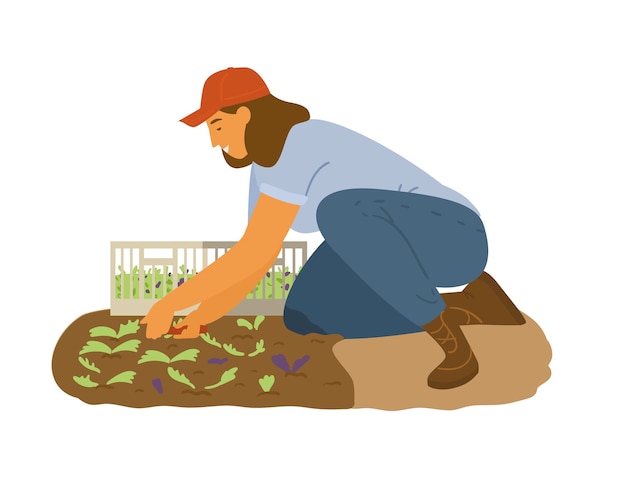 여자 농부 수집 샐러드 나뭇잎 그림 작업.
