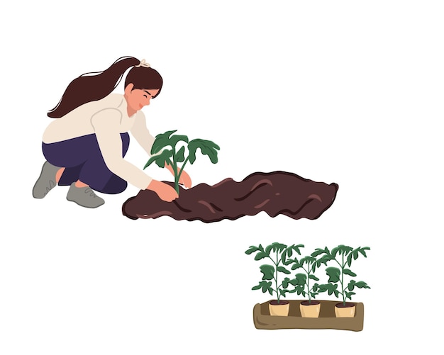 woman gardening plants seedlings in the soil with her hands and monitors the growth of seedlings