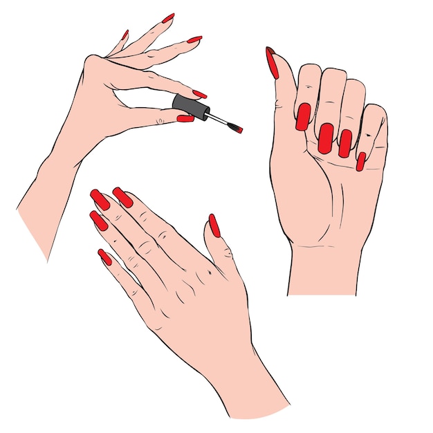 Premium Vector  Manicure. female manicured hands. lady painting, polishing  nails.