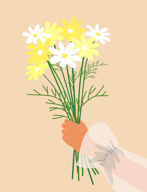 A woman holds daisies in her hands Greeting card with flowers Vector illustration