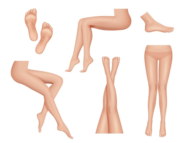 Vector woman legs. beauty foot heel healthy skin anatomy human body parts  realistic collection.