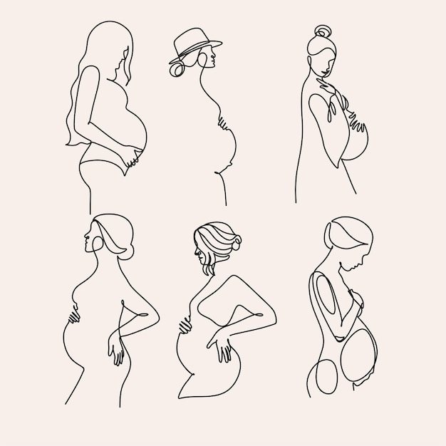 Vector woman line drawing vector pregnant woman and motherhood line art