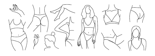 Woman parts Female outline body in swimsuit or underwear elements Hand drawn black and white minimal illustration Sexy skin and plus size female characters in bra and panties Vector isolated set